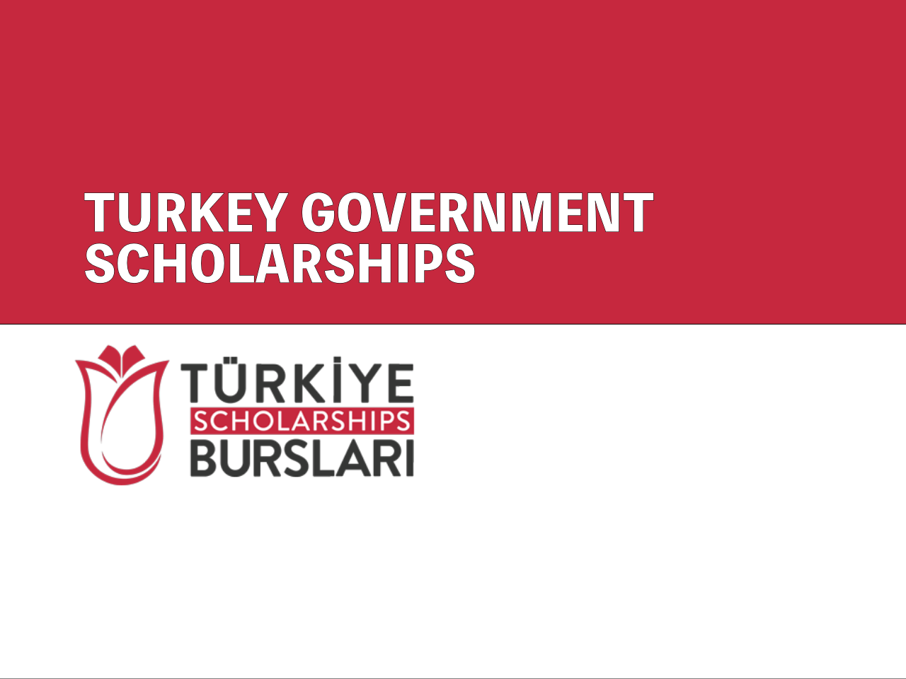 Turkey Government Scholarship