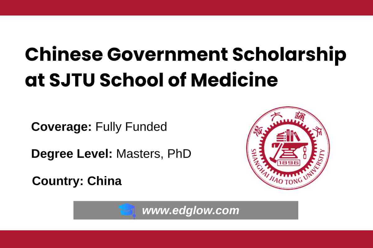 Chinese Government Scholarship