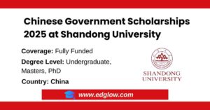 Chinese Government Scholarships