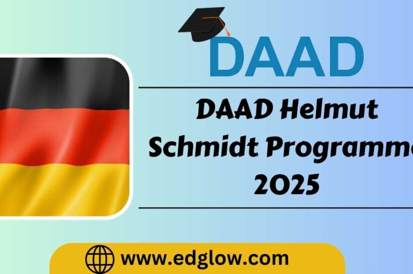 DAAD Helmut Schmidt Programme