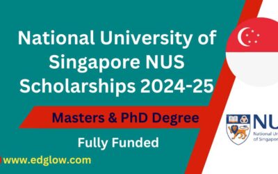 NUS Scholarships