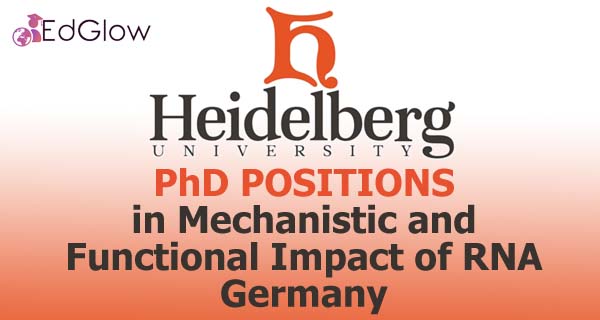 PhD in Mechanistic and Functional Impact of RNA, Germany