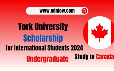 York University Scholarship